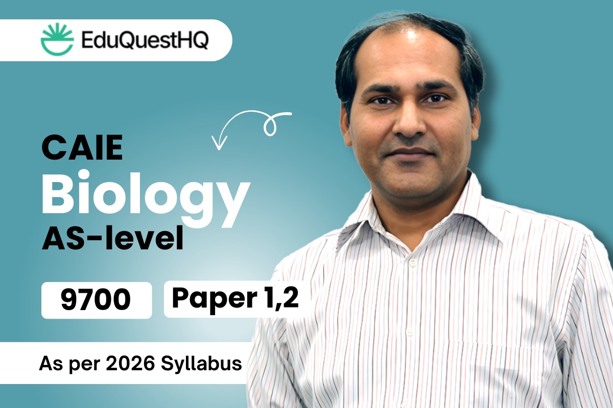 WhatsApp Image 2025 09 26 at 16.35.29